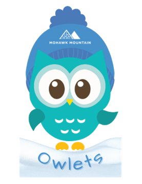 Picture of Fall Owlets Program - All sessions Sign Up